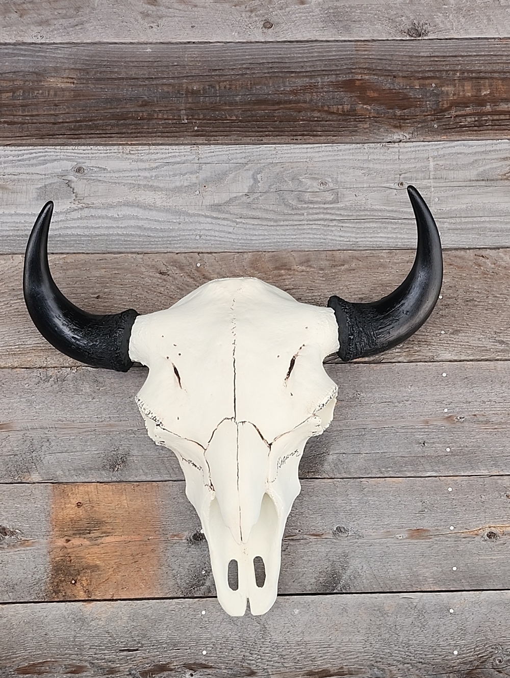 Decorative Ivory and Black Bison Skull Wall Accent